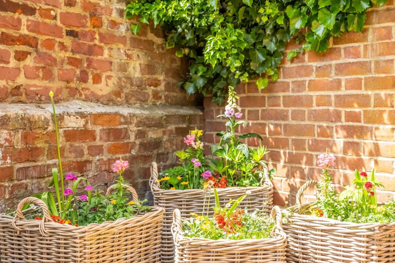 Heavenly 16Th Century Cottage In Pretty Rural Village - Swan'S Nest Boxford  Extérieur photo